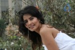 Rachana Shah Photo Shoot Stills - 63 of 49