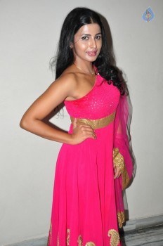 Rajshri Ponnappa Photos - 16 of 38