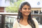 Rakshita New Photos - 51 of 56