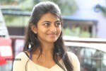 Rakshita New Photos - 25 of 56