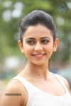 Rakul Preeth Singh Gallery - 97 of 133