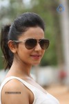 Rakul Preeth Singh Gallery - 17 of 133