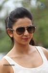 Rakul Preeth Singh Gallery - 104 of 133