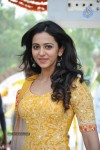 Rakul Preeth Singh Latest Photos - 6 of 66