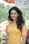 Rakul Preeth Singh Latest Photos - 25 of 66