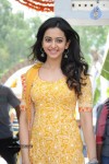 Rakul Preeth Singh Latest Photos - 37 of 66
