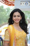 Rakul Preeth Singh Latest Photos - 54 of 66