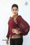 Regina Cassandra New Gallery - 43 of 152