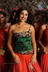 Richa Gangopadhyay Hot Stills - 13 of 77