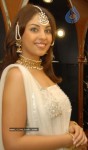 Richa Gangopadhyay New Gallery - 1 of 19