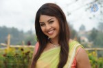 Richa Gangopadhyay New Pics - 24 of 26