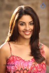 Richa Gangopadhyay New Spicy Stills - 6 of 29