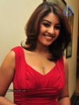 Richa Gangopadhyay Photos - 33 of 44