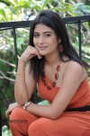 Richa New Stills - 50 of 53