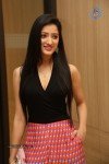Richa Panai Hot Stills - 46 of 75