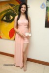 Richa Panai Latest Pics - 47 of 47