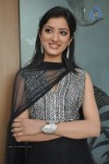 Richa Panai Latest Stills - 34 of 32