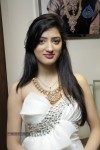 Richa Panai New Hot Stills - 10 of 44