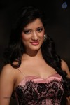 Richa Panai New Photos - 9 of 52