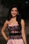 Richa Panai New Photos - 23 of 52