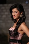 Richa Panai New Photos - 28 of 52