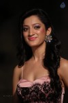 Richa Panai New Photos - 47 of 52