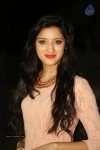 Richa Panai New Photos  - 45 of 78