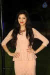 Richa Panai New Photos  - 64 of 78