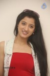 Richa Panai New Photos - 70 of 95