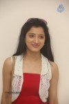 Richa Panai New Photos - 72 of 95