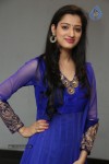 Richa Panai New Photos - 3 of 64