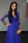 Richa Panai New Photos - 30 of 64