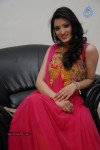 Richa Panai New Stills - 1 of 68