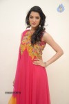 Richa Panai New Stills - 4 of 68