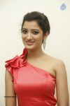Richa Panai Photos - 10 of 40