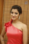 Richa Panai Photos - 11 of 40