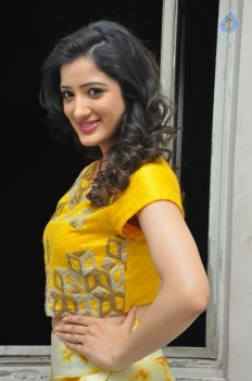 Richa Panai Photos - 13 of 38