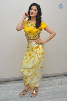 Richa Panai Photos - 14 of 38