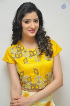 Richa Panai Photos - 16 of 38