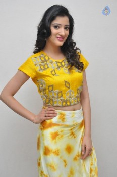 Richa Panai Photos - 23 of 38