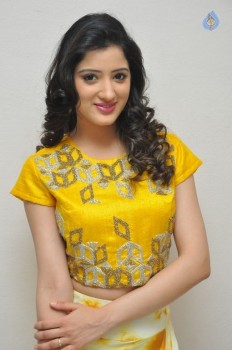 Richa Panai Photos - 26 of 38