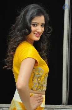 Richa Panai Photos - 35 of 38