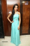 Richa Panai Pics - 4 of 47