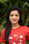 Richa Panai Pics - 12 of 48