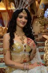 Richapanay Hot Stills - 60 of 63