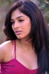 Rithika Hot Stills - 9 of 61