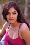 Rithika Hot Stills - 38 of 61