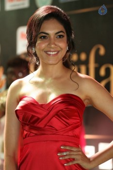 Ritu Varma at IIFA 2017 - 18 of 39