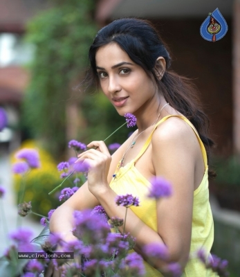 Riya Suman Photo Shoot Photos - 11 of 12