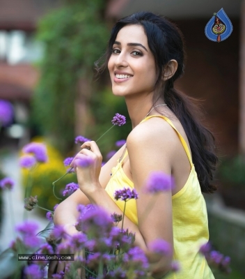 Riya Suman Photo Shoot Photos - 12 of 12